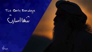 Session 2 - The Only Bondage