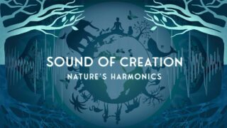 Sound of Creation Nature's Harmonics